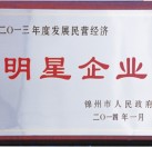 2013年度發(fā)展民營(yíng)經(jīng)濟(jì)明星企業(yè)